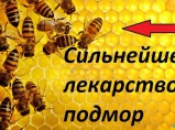 Пчелинный подмор. Настоянный / Кемерово